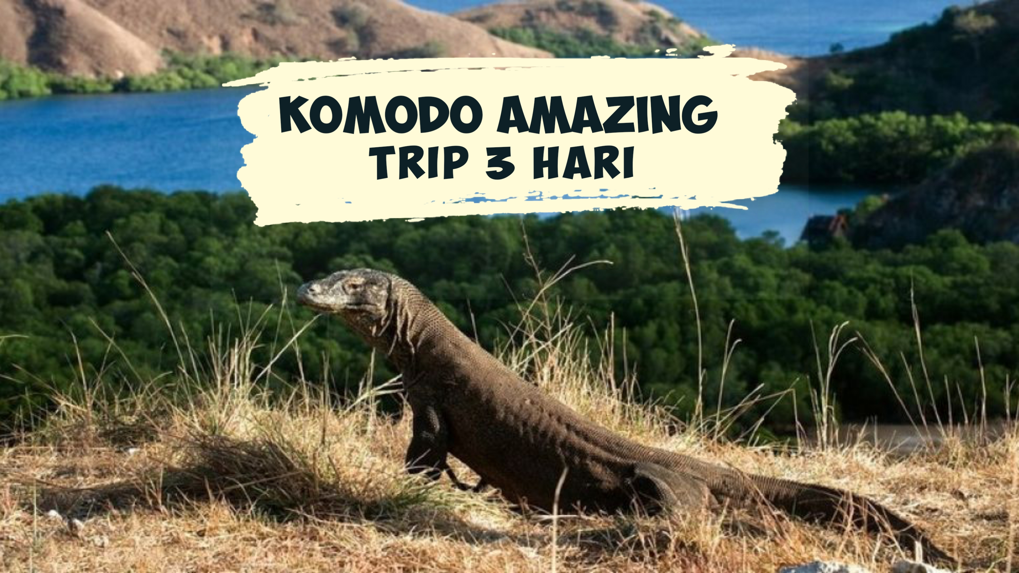 KOMODO AMAZING TRIP  3 HARI